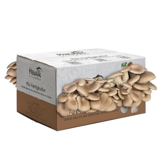 Hawlik Pilzbrut - Fungo ostrica cultura coltivazione set Fungo cultura da coltivare da soli - facile come torta per raccogliere funghi ostrica freschi - funghi coltivazione grande