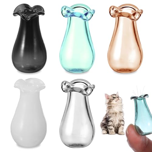 Ymapinc 5Pcs Cat Whisker Vase Holder - Tiny Glass Vase for Flowers Jar, Cute Mini Decor for Dollhouse Garden DIY Succulents (Gray, Dark Green, Brown, Black, White)