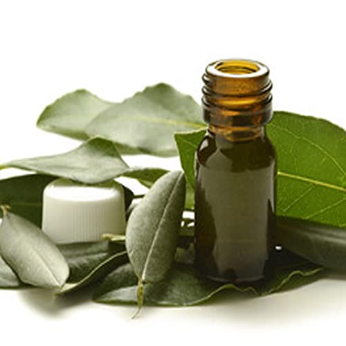 "La vie en zen" Huile essentielle de LAURIER NOBLE 10 ml pure et naturelle | 100% HECT Haute qualité Cover