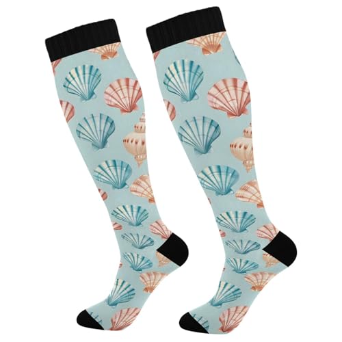 MFTJYO Seashell Rainbow Blue Women's Compression Socks for Women Men Knee High Socks Long Circulation for Athletic Running