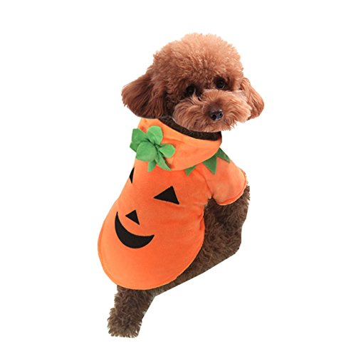 Mogoko Dog Cat Halloween Pumpkin Costume,Pet Cosplay Costumes,Puppy Warm Outfits Fleece Hoodie Animal Autumn Winter Clothes (M Size) #TOP6