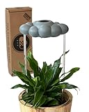 The Stormy Dripping Rain Cloud for Plants, Plant Lover Gift, Gray Cloud, Plant Acessories