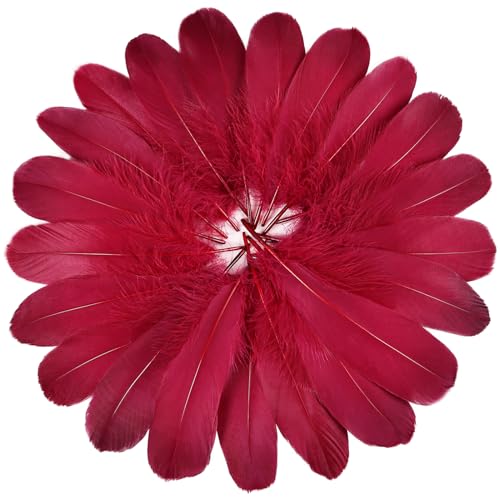 FeelfunFeather 120pcs Wine Red Goose Feathers 6-8 Inch 15-20cm Decorative Natural Goose Nagoire Feather Bulk for DIY Crafts Cosplay Wedding Party Christmas Halloween Home Decoration