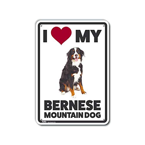 Panneau aluminium Bouvier Bernois plaque métal chien de 25cm
