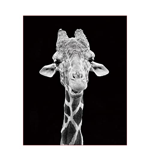Broderie diamant complet girafe noir et blanc point de croix 5D