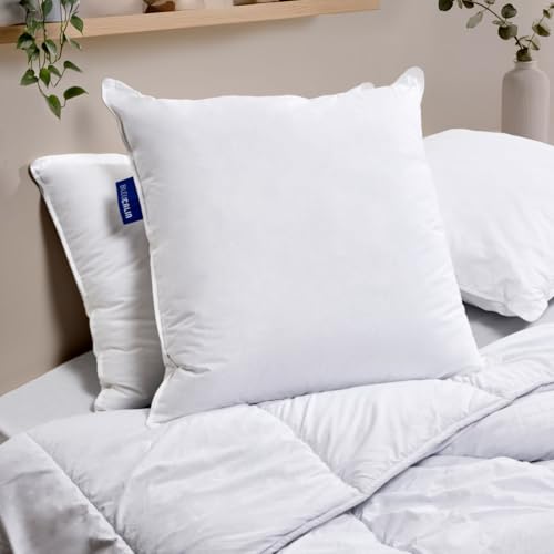 Bleu C� lin Juego de 2 Almohadas Confort