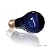 Exo Terra Night Heat Lamp 50w