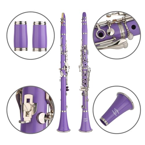 Image of Glory GLY-CLAPUR Professional Ebonite Bb Clarinet with 10 Reeds, Stand, Hard Case, Cleaning Cloth, Mouthpiece Brush and Pad Brush,Purple /Silver