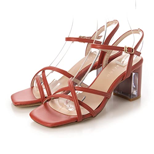 [�J���[�m] �T���_�� CATT34011 ���f�B�[�X �I�����W 23.5 cm