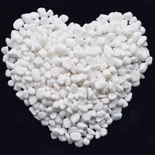 Image of 1 Lb /460g White Stones Decorative Pebble Rock Sand for Aquarium /Fish Turtle Tank /Vase Filler /Succulent Plants Decoration (Fill 1 Cup)