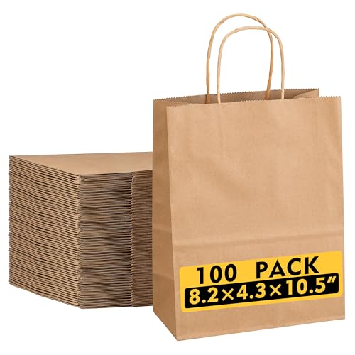 Tlpmsk Paper Bags With Handles 100 Pack