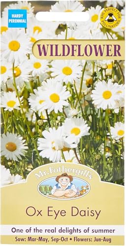 Mr Fothergill?s Seeds Ltd 20631 Mr Fothergill's Wildflower Ox Eye Daisy, White
