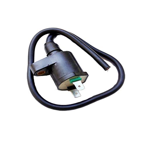 Triumilynn Ignition Coil Fits for Honda XR650L XR 650L 1993 1994 1995 1996 1997 1998-2008