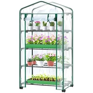 Ohuhu Gewächshaus klein Premium Foliengewächshaus mit Verriegelungsräder, Folien Treibhaus mit 4 Regalen Anzuchthaus Treibhaus Platzsparend Frühbeet für Balkon Garten 69x48x162 cm Transparent