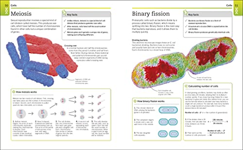 Super Simple Biology: The ultimate bitesize study guide | Explore cells, genetics, ecosystems & more | Clear diagrams & easy explanations for quick learning