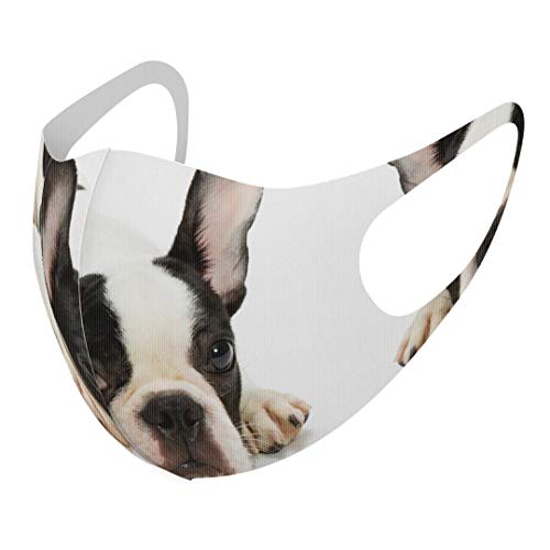 [X}R] fUC }XN QZbg |GXe 􂦂 z}XN XLTCY 傫 jp 000889  t`uhbN