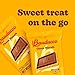 Bauducco Choco Biscuit Cookies, 25.3 oz (Pack of 40) - Crispy & Delicious Chocolate Cookies, Individually Wrapped for Snacks, Dessert & Lunch Boxes - 2 Cookies per Pack