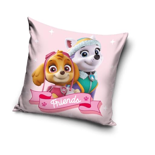 Housse Coussin 40x40 Cm Pat' Patrouille - Motif Double Face Paw Patrol