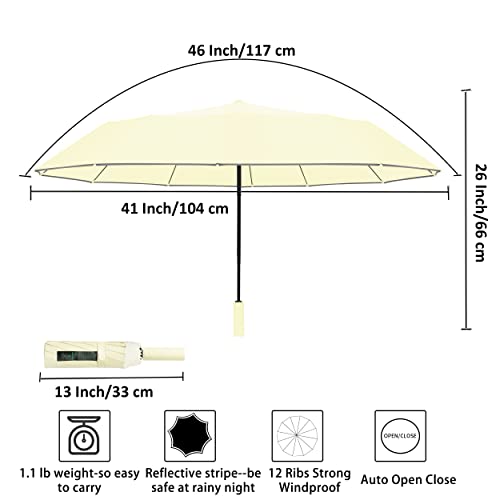 Image of BAODINI Windproof Compact Rain Umbrella for Travel 42 /46 Inch Premium Fabric Auto Open Perfect for Purse and Backpack Portable Umbrella for Women and Men
