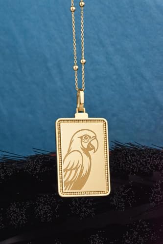 Collier perroquet gravé argent anti-ternissement chaîne 45 cm - 3