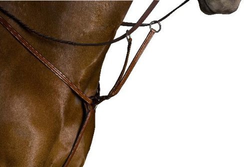 KincadeKincade Raised Breastplate with Running Martingale Cob, Brow