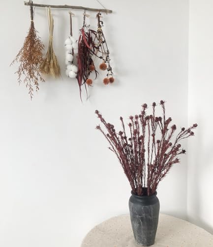 Flores Secas Mini Piña con Tallo 23" para Decoración miniatura 6