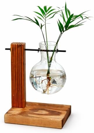 Vaso de Vidro Planta Suporte Madeira Sofisticado Decorativo Único...