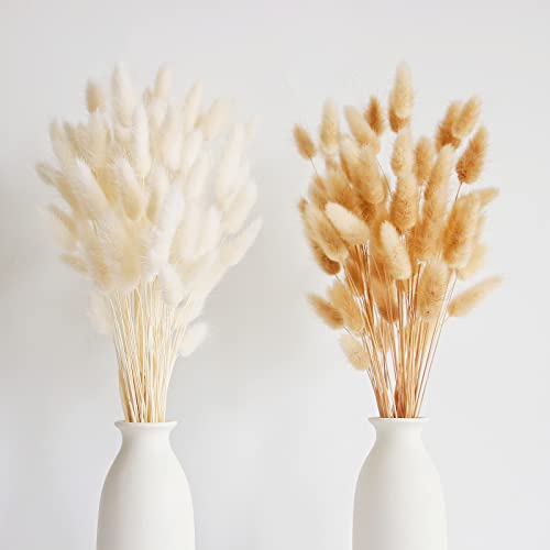 100 PCS Bunny Tails Dried Flowers Dried Pampas Grass Bouquet Boho Table Decor White Pampas Grass Small Dried Bunny Tails