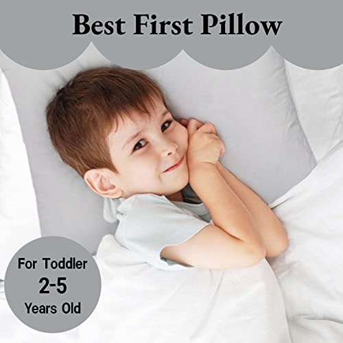 Toddler Pillow With Pillowcase | 13 X 18 Soft Hypoallergenic 100% Organic Cotton Baby Pillows For Sleeping | Small Kids Pillow, Infant - Perfect For Travel, Cribs Bed Sets, Machine Washable #TOP1