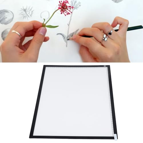 Table Lumineuse Gradation Continue pour Numérisation d'Art et Négatifs