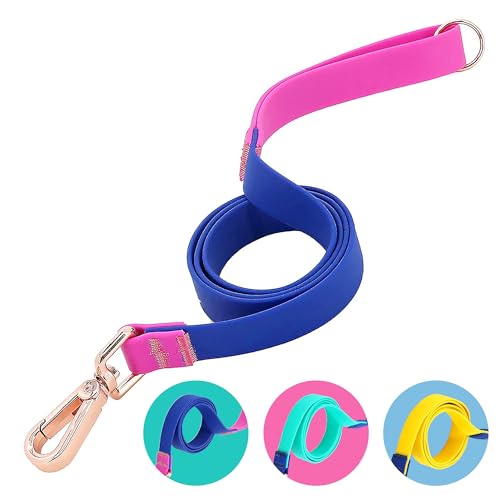 Jelly Colorful Dog Leash, Waterproof Nylon, 5FT, Blue & Rose