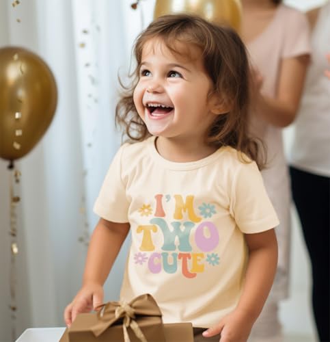 Image of Toddler Boys Girls 2nd Birthday Shirt Outfit for Kids Two Years Old Birthday Gift for Party Short Sleeve Tshirt