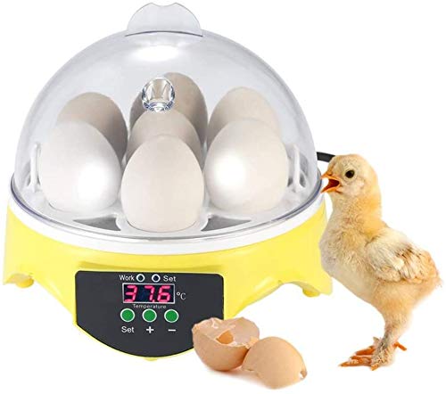 SYue Egg Incubators, Temperature Automatic Mini Digital Poultry Hatcher Tool For Chicken Duck Bird