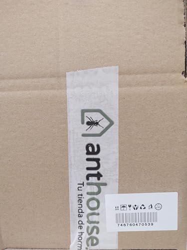 AntHouse - Natural Sand Ant Farm | Acrylic Big Starter Kit | Educative Ant Hill | 11.81 x 5.91 x 3.94 in - Image 3