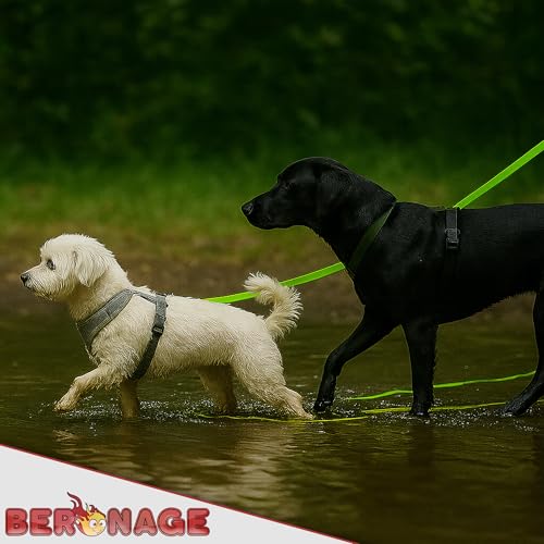 Schleppleine Biothane Romeo ca. 10 m – Reflektierend & wasserfest – mit Rückdämpfer & Haltegriff – für kleine & mittelgroße Hunde – ideal für Rückruf, Training & Freilauf (Grün)