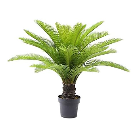 AMERIQUE Cycas Revoluta Sago Palm Tree Artificial Plant Cover