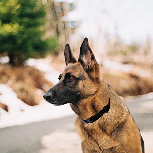 Luckydc Martingale Collar For Training Dogs. Adjustable Reflective Dog Collars With Buckle- No Pull-Prevents Slipping Out, For Medium Large Xl Dogs. Helps With Strong Pullers(M, Black) #TOP4