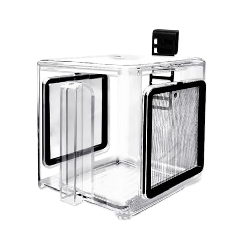 Récipient d'isolation aquarium pour observer les naissances - 2