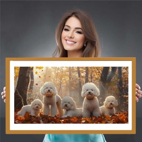 Photo 5D Full Drill Broderie Diamant pour transformer vos images floues en art