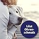 Canosept Ohrreiniger für Hunde 125ml - Lösung zur Ohrenpflege & Hunde Ohrenreinger & Löst Schmutz und natürliche Rückstände im Hundeohr - Ohrentropfen für Hunde - Hund Ohrenentzündung