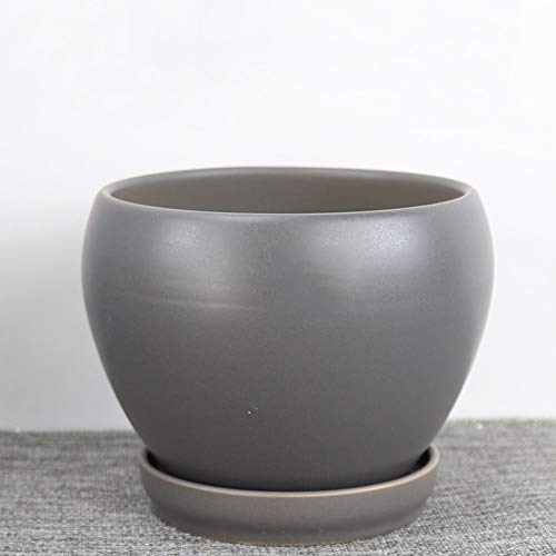 Flower pot avec plateau pour décoration du bureau à la maison YRYRYW