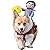 DELIFUR Dog Costumes Pet Costume Pet Halloween Suit Cowboy Rider Style Dogs Outfits(M)