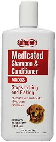 Sulfodene Medicated Shampoo with Aloe, 12-Ounce by Sulfodene