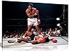Panther Print, Large Canvas Wall Art, Beautiful Living Room Framed Prints, Quality Canvas Pictures, Muhammad Ali Boxing Sonny Liston, Print for Special Occasions (18 x 12 Inch) #1