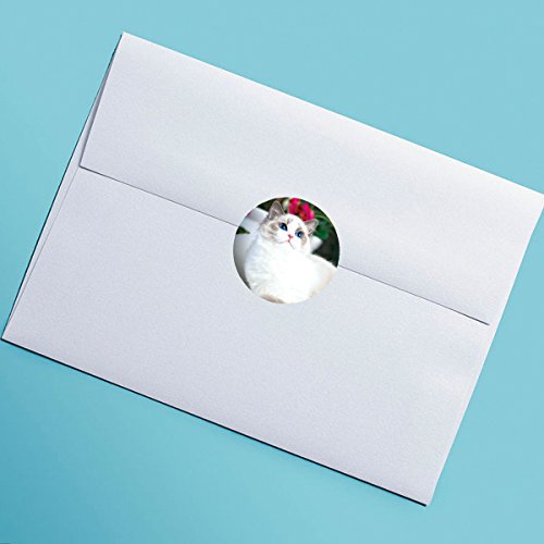 Cat Stickers Kitten Roll Sticker 200 Pcs For Kids Animal Stickers Party Favor Envelope Seal Stickers #TOP6