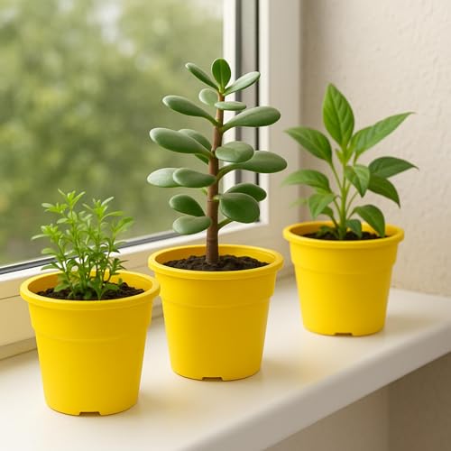 Image of Indian Gardens - 4 inch Indoor (Pack of 10) Plastic Small Colour pots | Plastic Plant Pot for Terrace Garden (Any Colour)