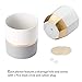 POTEY 052301 Ceramic Planter Flowerpots - 6.1 inch + 5 inch White Grey Golden Decorative Detailing Plant Pot Containers for Aloe Plants Flower Modern Indoor Home Decor (Plants NOT Included)