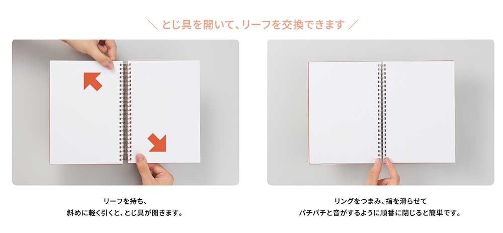 Amazon | リヒトラブ Mutual オープンリングノート ドット方眼罫
