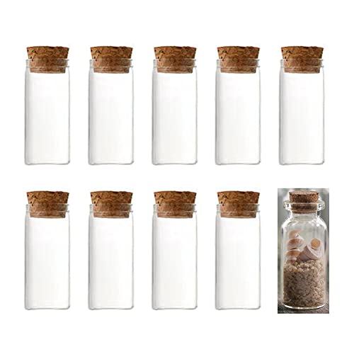 Mini Botellas de Cristal,Frascos de Vidrio Tapon Corcho,Botella de Vidrio Mini,con Corcho Botes Cristal Pequeños,Set de Mini Botellas de Cristal,para Invitados Bodas,Frasco para Especia,10 x 8ml Cover