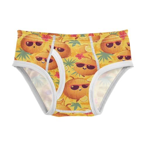 visesunny Boys Cotton Underwear Tropical Coconut Sunglass Printed Toddler Soft Training Briefs Size 2T-8Y for Kids